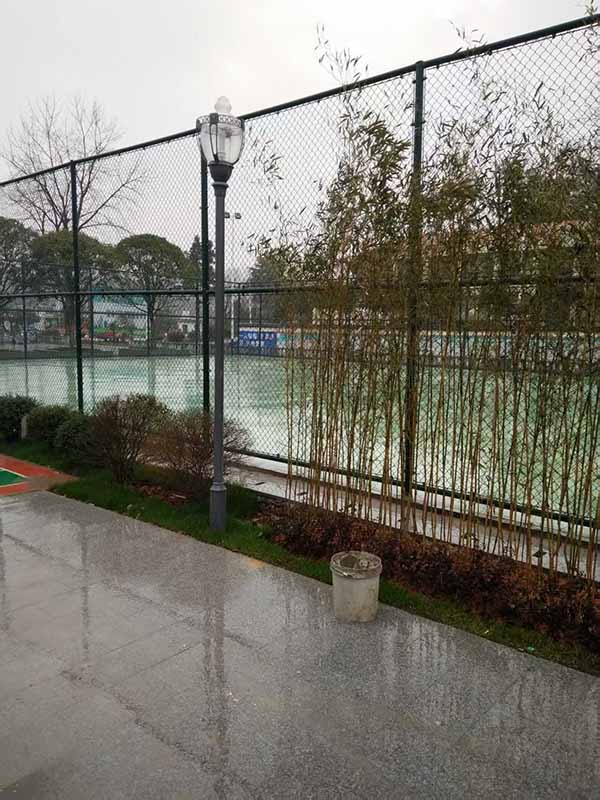 微信图片_20250321091909.jpg